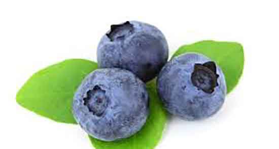 فواید بلوبری خشک و خاصیت مصرف بلوبری خشک برای دیابت بارداری فواید بلوبری خشک ؛ خاصیت مصرف بلوبری خشک برای دیابت بارداری
