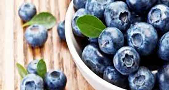 فواید بلوبری در بارداری و ایا مصرف بلوبری برای جنین زنان باردار مفید است فواید بلوبری در بارداری ؛ ایا مصرف بلوبری برای جنین زنان باردار مفید است