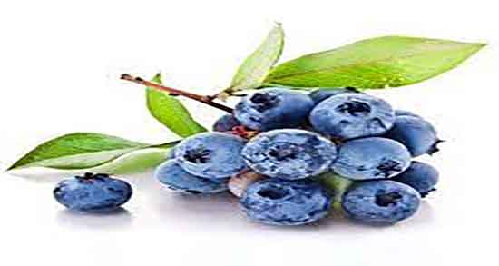 فواید بلوبری ؛ خاصیت مصرف بلوبری برای لاغری و تناسب اندام