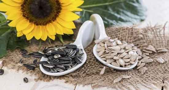 فواید تخمه آفتابگردان ؛ خاصیت مصرف تخمه آفتابگردان در دوران بارداری فواید تخمه آفتابگردان ؛ خاصیت مصرف تخمه آفتابگردان در دوران بارداری