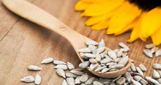 فواید تخمه آفتابگردان برای بدنسازی ؛ تخمه افتابگردان برای ورزشکاران فواید تخمه آفتابگردان برای بدنسازی ؛ تخمه افتابگردان برای ورزشکاران