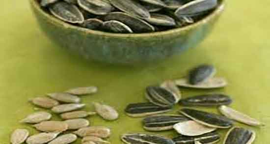 فواید تخمه آفتابگردان برای سرماخوردگی ؛ تخمه افتابگردان برای گلو درد