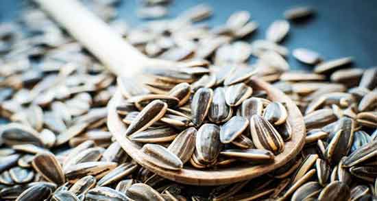 فواید تخمه آفتابگردان برای چشم ؛ خواص تخمه آفتابگردان برای بینایی فواید تخمه آفتابگردان برای چشم ؛ خواص تخمه آفتابگردان برای بینایی