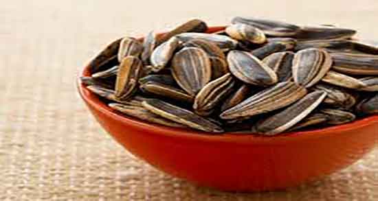 فواید تخمه آفتابگردان برای کودکان ؛ مغز تخمه آفتابگردان برای اطفال فواید تخمه آفتابگردان برای کودکان ؛ مغز تخمه آفتابگردان برای اطفال