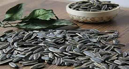 فواید تخمه آفتابگردان خام ؛ خواص تخمه آفتابگردان خام در دوران بارداری