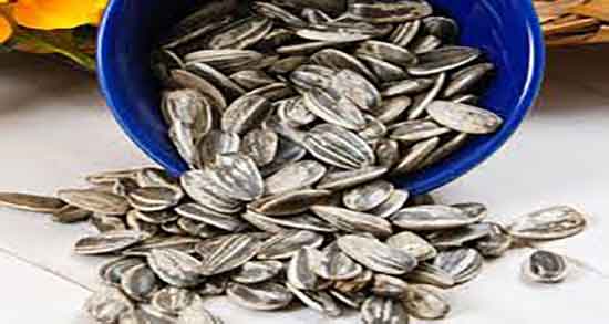 فواید تخمه آفتابگردان در بارداری ؛ خواص خوردن تخمه آفتابگردان در بارداری فواید تخمه آفتابگردان در بارداری ؛ خواص خوردن تخمه آفتابگردان در بارداری