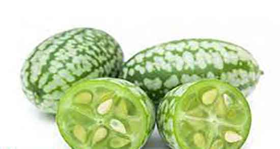 فواید تخمه هندوانه برای معده ؛ خواص تخمه هندوانه برای زخم معده فواید تخمه هندوانه برای معده ؛ خواص تخمه هندوانه برای زخم معده