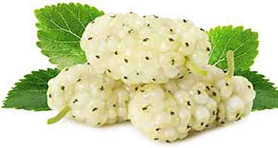 فواید توت و خاصیت مصرف توت فرنگی برای کودکان و بزرگسالان فواید توت ؛ خاصیت مصرف توت فرنگی برای کودکان و بزرگسالان