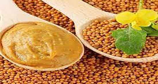 فواید خردل در بارداری ؛ نحوه مصرف دانه خردل برای لاغری و چربی سوزی فواید خردل در بارداری ؛ نحوه مصرف دانه خردل برای لاغری و چربی سوزی