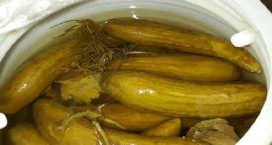 فواید خیار شور خانگی ؛ آشنایی با خاصیت خوردن خیار شور خانگی برای سلامتی