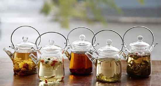 فواید دمنوش گزنه و برگ زیتون ؛ حفظ سلامت بدن با مصرف دمنوش گزنه و برگ زیتون