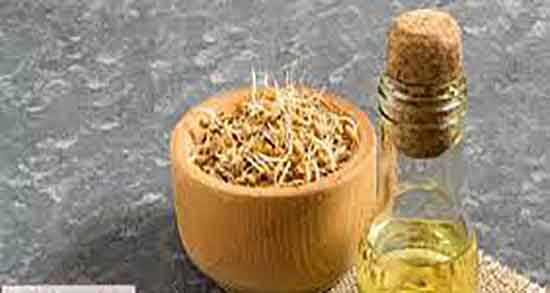 فواید روغن جوانه گندم ؛ خاصیت مصرف روغن جوانه گندم برای پوست و مو فواید روغن جوانه گندم ؛ خاصیت مصرف روغن جوانه گندم برای پوست و مو