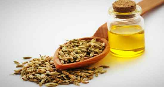 فواید روغن رازیانه ؛ آشنایی با خواص و فواید درمانی روغن رازیانه
