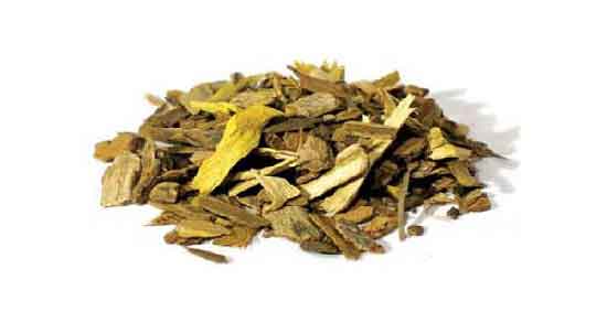 فواید ریشه زرشک و آشنایی با خواص درمانی ریشه زرشک فواید ریشه زرشک ؛ آشنایی با خواص درمانی ریشه زرشک