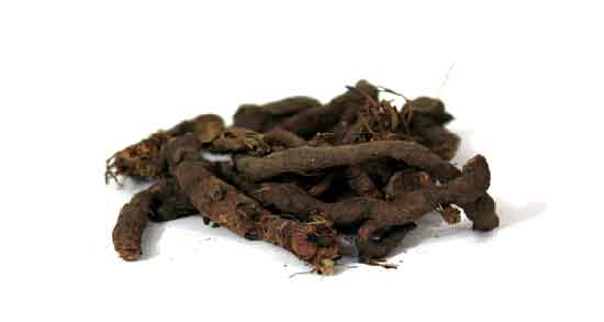 فواید ریشه زرشک وحشی ؛ خواص بسیار زیاد مصرف ریشه زرشک وحشی برای سلامتی