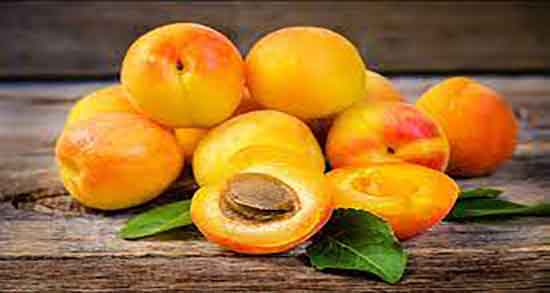 فواید زردآلو و فواید مصرف زردالو برای زیبایی پوست صورت و بدن فواید زردآلو ؛ فواید مصرف زردالو برای زیبایی پوست صورت و بدن