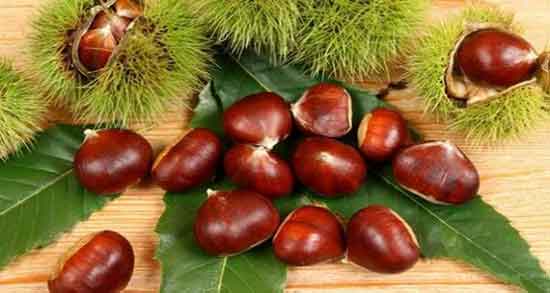 فواید شاه بلوط برای زن حامله ؛ خاصیت خوردن شاه بلوط برای زنان باردار فواید شاه بلوط برای زن حامله ؛ خاصیت خوردن شاه بلوط برای زنان باردار