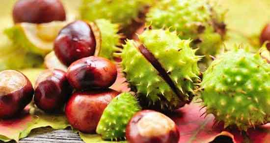 فواید شاه بلوط چیست ؛ ایا خوردن شاه بلوط برای یبوست کودکان مفیده فواید شاه بلوط چیست ؛ ایا خوردن شاه بلوط برای یبوست کودکان مفیده