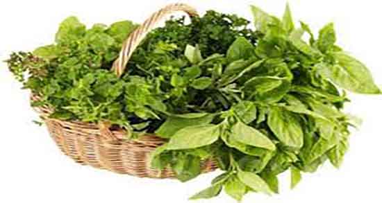 فواید شاهی چیست ؛ خاصیت مصرف شاهی تازه برای بدن کودکان