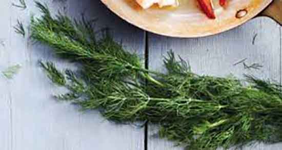 فواید شوید برای لاغری ؛ خاصیت مصرف شوید برای چربی سوزی بدن فواید شوید برای لاغری ؛ خاصیت مصرف شوید برای چربی سوزی بدن