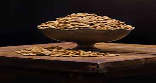 فواید و مضرات تخمه ژاپنی ؛ خواص و مضرات تخمه ژاپنی چیست فواید و مضرات تخمه ژاپنی ؛ خواص و مضرات تخمه ژاپنی چیست