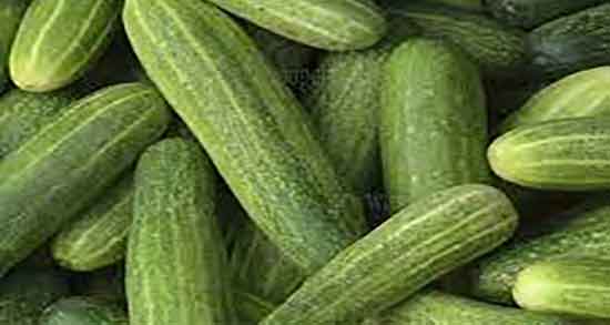فواید و مضرات خیار سبز ؛ خاصیت و عوارض مصرف خیار سبز برای بدن