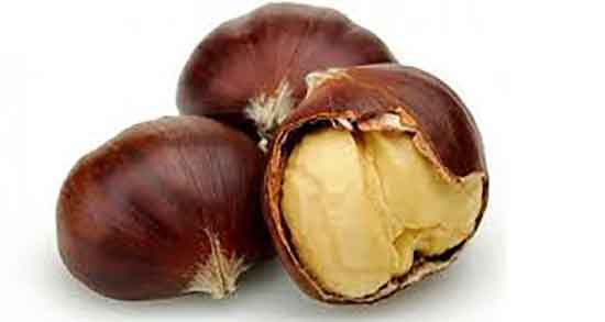 فواید و مضرات شاه بلوط ؛ خاصیت و عوارض مصرف شاه بلوط چیست فواید و مضرات شاه بلوط ؛ خاصیت و عوارض مصرف شاه بلوط چیست