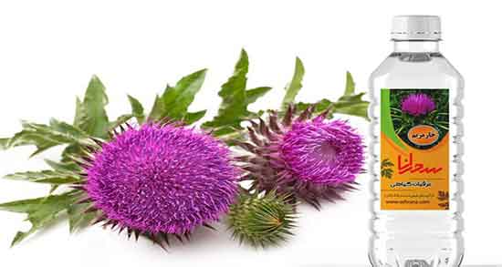 فواید و مضرات عرق خار مریم و خواص و عوارض عرق خار مریم برای کودکان فواید و مضرات عرق خار مریم ؛ خواص و عوارض عرق خار مریم برای کودکان