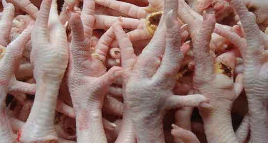 فواید پای مرغ برای نوزاد و خواص مصرف پای مرغ برای کودک یک ساله فواید پای مرغ برای نوزاد ؛ خواص مصرف پای مرغ برای کودک یک ساله