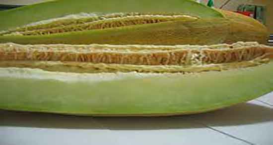 فواید پوست خربزه برای پوست ؛ ماسک پوست خربزه برای لک های پوست فواید پوست خربزه برای پوست ؛ ماسک پوست خربزه برای لک های پوست