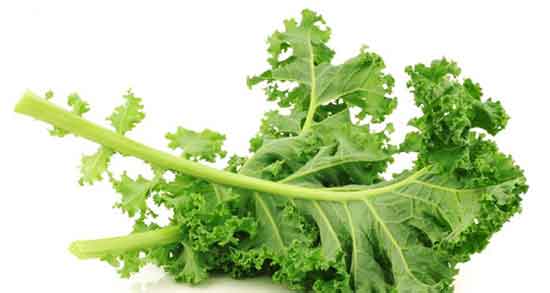 فواید کلم برگ در بارداری ؛ ایا مصرف گلم برگ برای زنان باردار مفید است فواید کلم برگ در بارداری ؛ ایا مصرف گلم برگ برای زنان باردار مفید است