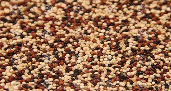 فواید کینوا چیست ؛ خاصیت ضد سرطانی دانه کینوا برای انسان