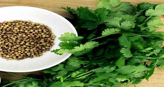 فواید گشنیز برای مو ؛ خواص مصرف تخمه گشنیز برای تقویت موی سر فواید گشنیز برای مو ؛ خواص مصرف تخمه گشنیز برای تقویت موی سر