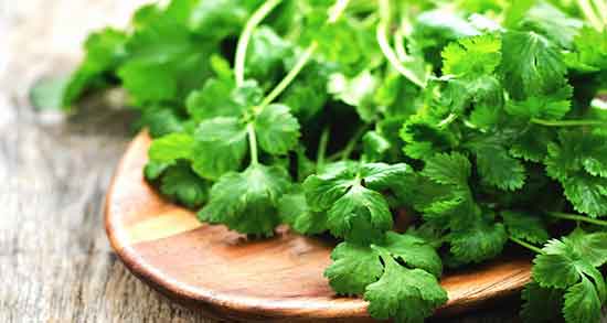 فواید گشنیز برای پوست ؛ خواص روغن گشنیز برای پوست صورت