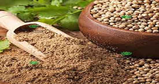 فواید گشنیز خام ؛ خواص مصرف گشنیز از نظر طب اسلامی چیست فواید گشنیز خام ؛ خواص مصرف گشنیز از نظر طب اسلامی چیست