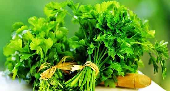 فواید گشنیز خشک ؛ گشنیز خشک در چه غذاهایی استفاده میشود فواید گشنیز خشک ؛ گشنیز خشک در چه غذاهایی استفاده میشود