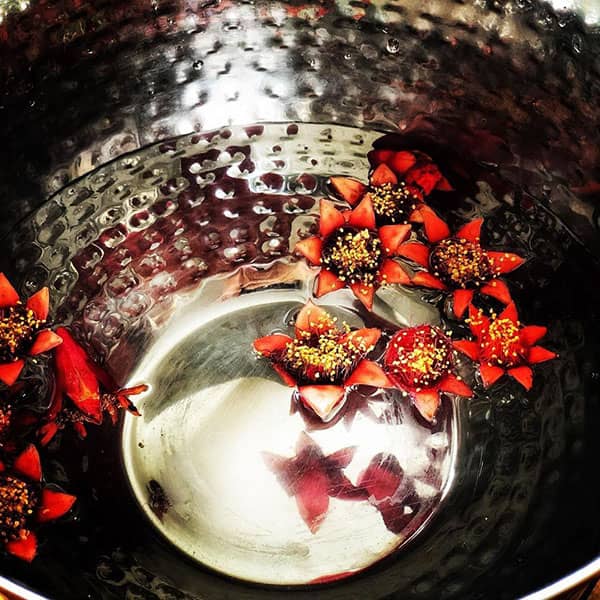 فواید گل انار برای پوست ؛ از بین بردن مشکلات پوستی با گل انار فواید گل انار برای پوست ؛ از بین بردن مشکلات پوستی با گل انار