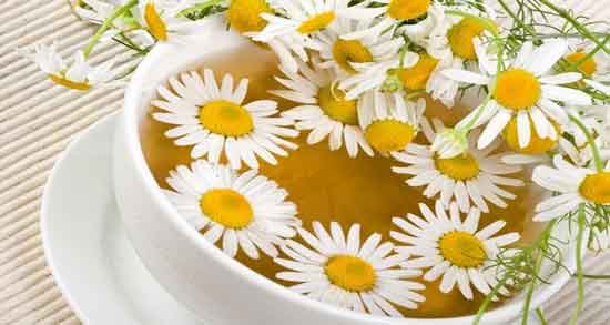 فواید گل بابونه برای پوست ؛ استفاده از گل بابونه برای شادابی و زیبایی پوست فواید گل بابونه برای پوست ؛ استفاده از گل بابونه برای شادابی و زیبایی پوست