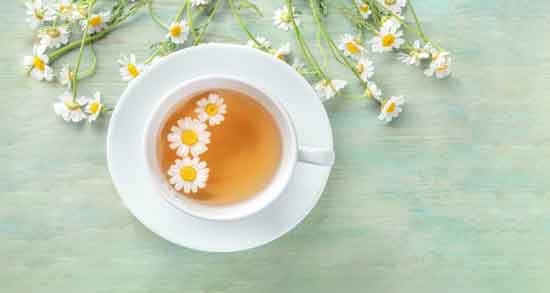 فواید گل بابونه پوست و مو ؛ حفظ سلامت پوست و مو با مصرف گل بابونه فواید گل بابونه پوست و مو ؛ حفظ سلامت پوست و مو با مصرف گل بابونه