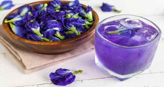 فواید گل ختمی برای عفونت ؛ روش استفاده از گل ختمی برای درمان عفونت فواید گل ختمی برای عفونت ؛ روش استفاده از گل ختمی برای درمان عفونت