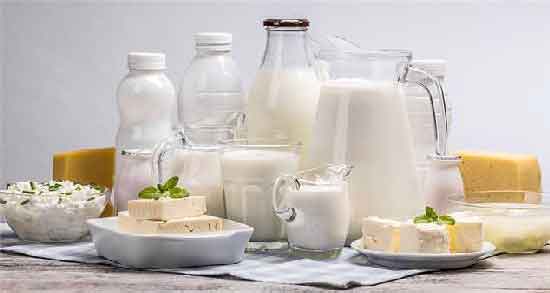 لبنیات یعنی چه ؛ آشنایی کامل با لبنیات و انواع آن