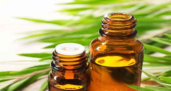 ماسک روغن درخت چای برای پوست و روغن درخت چای برای پوست چرب ماسک روغن درخت چای برای پوست ؛ روغن درخت چای برای پوست چرب