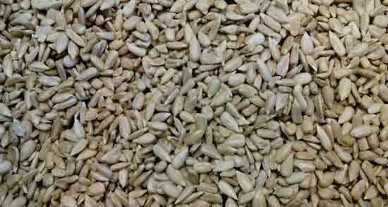 مصلح تخمه آفتابگردان ؛ مصلح تخمه آفتابگردان برای بدن چیست مصلح تخمه آفتابگردان ؛ مصلح تخمه آفتابگردان برای بدن چیست