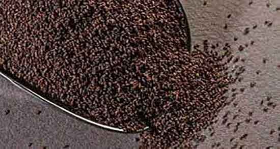 مضرات بارهنگ ؛ عوارض مصرف بارهنگ و عرق نعنا برای گوارش مضرات بارهنگ ؛ عوارض مصرف بارهنگ و عرق نعنا برای گوارش