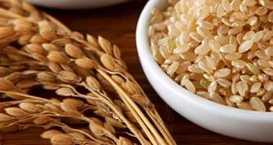 مضرات برنج قهوه ای برای نوزاد ؛ عوارض برنج قهوه ای برای کودکان مضرات برنج قهوه ای برای نوزاد ؛ عوارض برنج قهوه ای برای کودکان