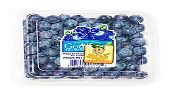 مضرات بلوبری چیست ؛ عوارض مصرف میوه بلوبری تازه برای اطفال