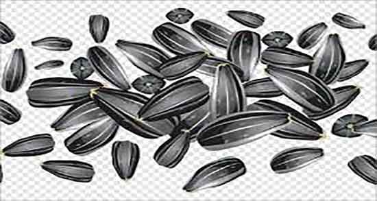 مضرات تخمه آفتابگردان برای معده ؛ عوارض تخمه افتابگردان برای زخم معده