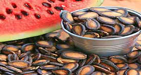 مضرات تخمه هندوانه بو داده ؛ ایا تخمه هندوانه بو داده چاق میکند مضرات تخمه هندوانه بو داده ؛ ایا تخمه هندوانه بو داده چاق میکند