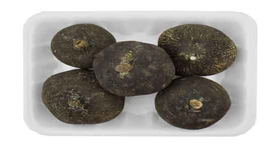 مضرات ترب سیاه چیست ؛ عوارض مصرف ترب سیاه برای زخم معده مضرات ترب سیاه چیست ؛ عوارض مصرف ترب سیاه برای زخم معده