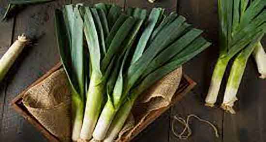 مضرات تره فرنگی ؛ عوارض مصرف تره فرنگی برای زنان باردار چیست مضرات تره فرنگی ؛ عوارض مصرف تره فرنگی برای زنان باردار چیست